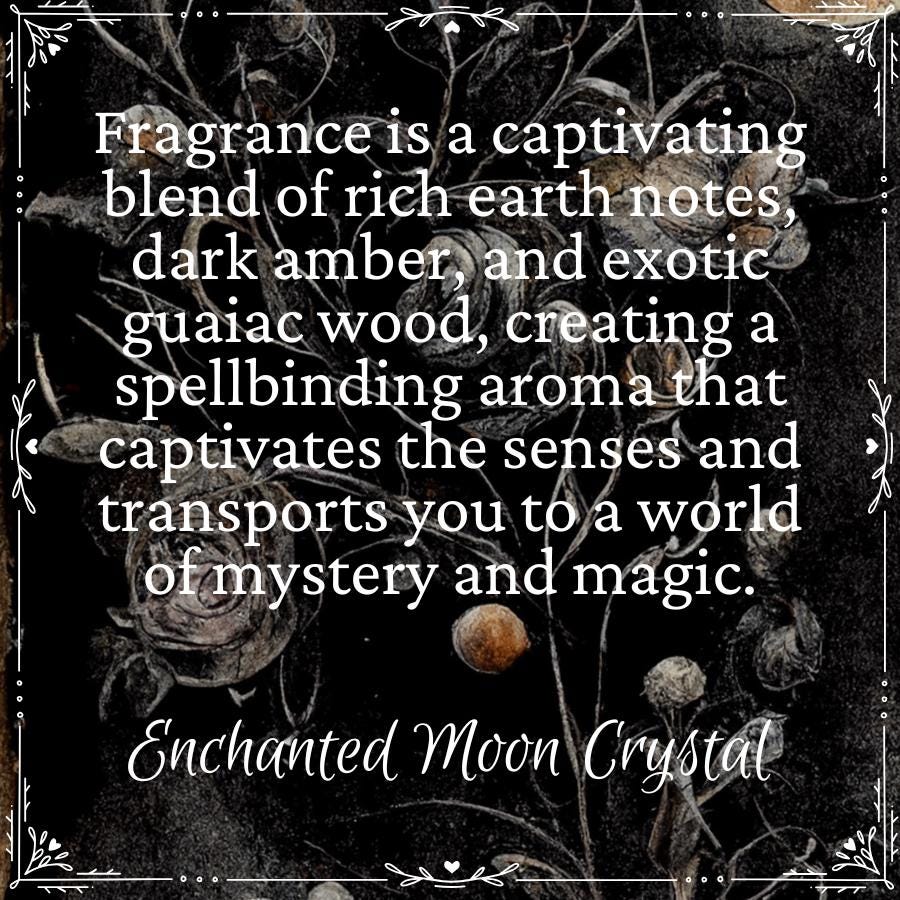 Season of the Witch Candle, Halloween Esthetic, Hedge Witch, Witchy Candles, Samhain, Intention Candle, Spell Work, Transcend, Magic Infused