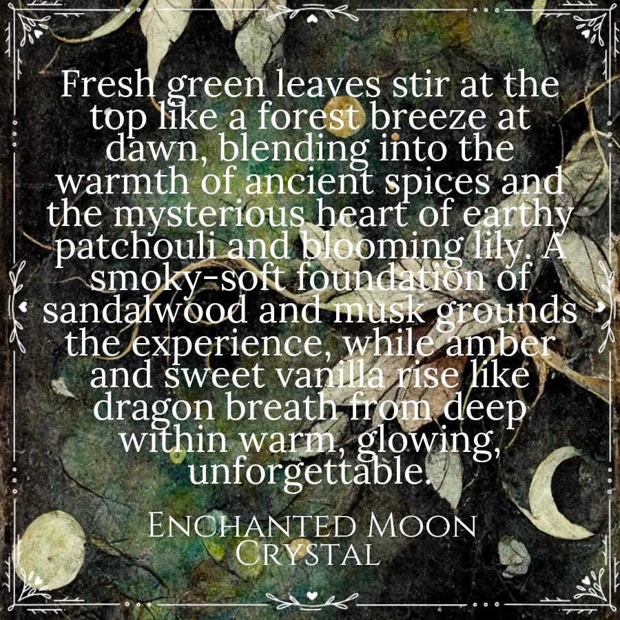 Dragon Spirit Candle, Spirit Guides, Trance Meditation, Dragon Magic, Esoteric, Awakening, Spiritual Wisdom, Stoicism, Ancient Mysteries